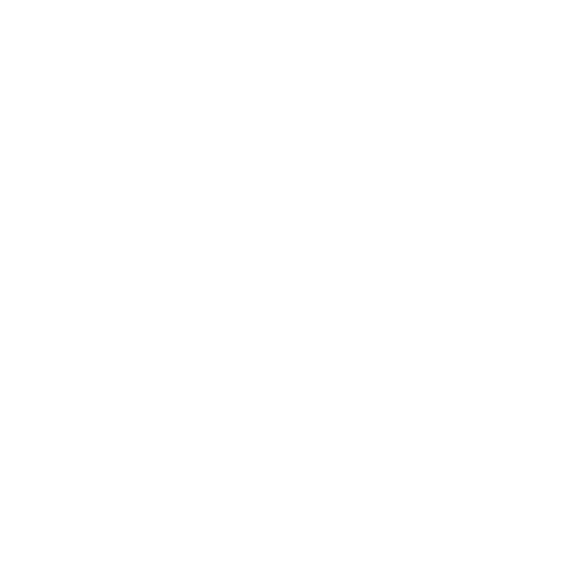 Explosion Icon